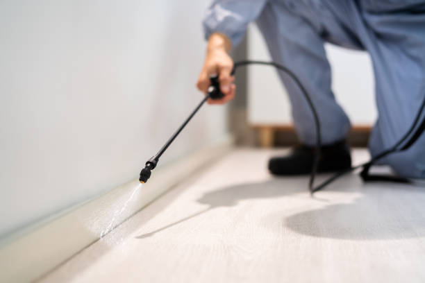 Licensed Cockroach Control service in Drexel, NC - Nex Pest Control