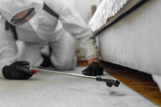Professional Cockroach Control technician working in Drexel, NC